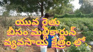 యువ రైతు బీసం మల్లికార్జున్ వ్యవసాయ క్షేత్రం లో.. Ganesh mogudala