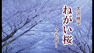 「ねがい桜」大沢桃子 cover 2023年8月2日発売