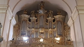 Organowy Kwadrans odc. 100 - prezentacja organów Bazyliki Nawiedzenia NMP w Sejnach