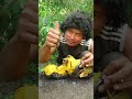 surely you don t know palm fruit with fire survival camping outdoors