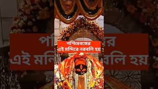 এই মন্দিরের নরবলি দেওয়া হয় ? #kalimamdir #joymaakali #naihatiboromaa #Boromaa #joyboromaa