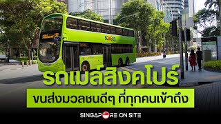 รถเมล์สิงคโปร์ ขนส่งมวลชนดีๆ ที่ทุกคนเข้าถึง - Singapore On Site [EP3]