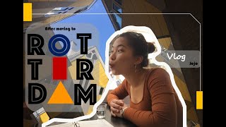 Vlog in the Netherlands 在荷兰 - after moving to Rotterdam 搬到鹿特丹以后