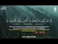 alquran dengan suara yang sangat indah alfatiha alkahfi yasin alwaqia arrahman almulk almoeathat