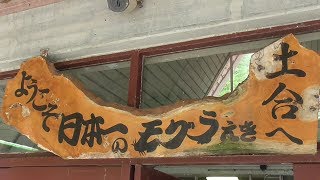 日本一のモグラ駅　JR上越線 土合駅 はるか地底の下り線プラットホームへ24段＋462段を下る！ 2019年9月14日 撮影