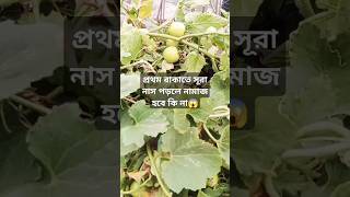 প্রথম রাকাতে সূরা নাস পড়লে নামাজ হবে কি না 😱 টমেটো tomato #youtubeshorts #subscribers #viralvideo