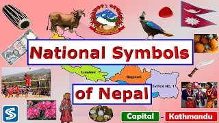 Nepal's National Symbols - A Quick Guide || National symbols of Nepal.