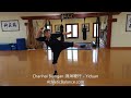 short whip staff chanhai biangan 缠海鞭杆 yiduan