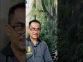 kisah kisah ilmu hutan mejar b mohd fitri