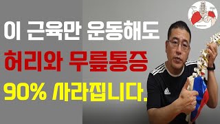 허리와 무릎통증에 이 근육 하나만 운동해도 99% 좋아지게 됩니다.|허리와 무릎통증 없애는 최고의 중둔근 강화운동| 40대 이후 무조건 해야되는 하체운동