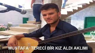 MUSTAFA TERECİ BİR KIZ ALDI AKLIMI