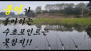 #64 수초포인트에 짬낚에 만난 힘좋은 붕어!!