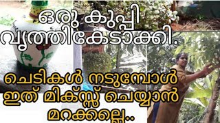 വീട്ടിലെ ജോലികൾ കഴിഞ്ഞ് ഒഴിവ് സമയത്തെ ചില്ലറ പണികൾ. ചെടികൾ നടുമ്പോൾ ഇതെല്ലാം മണ്ണിൽ മിക്സ്സ് ചെയ്യണം