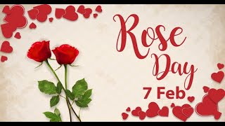 Rose Day WhatsApp Status Video ♥️ | Romantic Status ♥️ | Love Status | Happy Valentines Day 2021