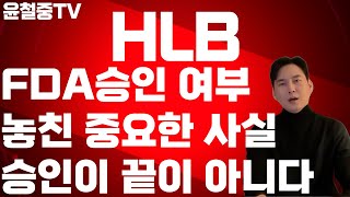 HLB 역사적 순간이 온다 하지만 주의 해볼만 한 부분이 있다 FDA 승인 떨어진다면 이후 무조건 상승? 투자자들이 간과하는 3가지 승인이 나와도 이걸 모르면 손실난다