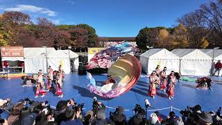 【４K60p】倭奏★下町ハイカロリーフェス/上野恩賜公園噴水前広場/1回目/2024.12.08/DJI Pocket3