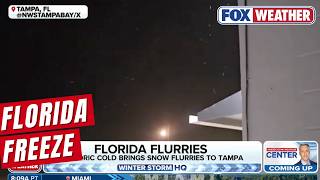 Florida Freeze: Arctic chill Breaks Records and Causes Power Disruptions