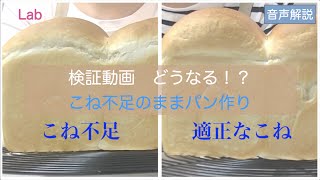 検証動画　あえてこね不足のままパンを作ってみました　発酵、焼き上がり、味に与える影響は？