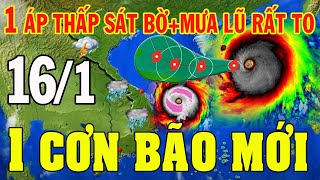 Tin bão Mới Nhất | Dự báo thời tiết hôm nay ngày mai 16/1/2025 | dự báo thời tiết 3 ngày tới