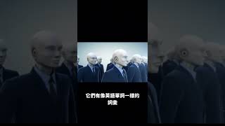 解碼程式語言：高階和低階語言，我們與電腦的對話之橋