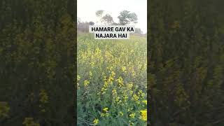 #gav#najaravlogs  #Hamare gav ka najara Hai  bro #trending #trendingshorts