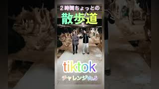 tiktokチャレンジVo.5お手伝い終わにtiktokー♪#shorts #tiktokchallenge