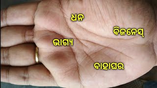 ଏମିତି ଲୋକମାନେ ଜନ୍ମ ରୁ ହିଁ ଲକୀ ହୋଇଥାନ୍ତି /ଏମାନେ ବହୁତ କମ୍ ବୟସରୁ ବନିଯାଇଥାନ୍ତି କୋଟିପତି //ଭାଗ୍ୟ ରେଖା