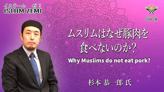 ムスリムはなぜ豚肉を食べないのか　Why muslim don't eat pork?