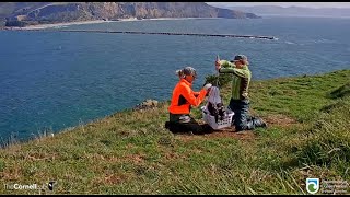 Royal Cam Albatross ~ Weight Day For QT! 😊 💕 8.23.22