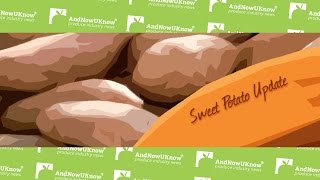 AndNowUKnow - Sweet Potato Update - The Bloom