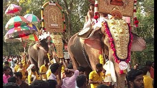 തെച്ചിക്കോട്ട് രാമചന്ദ്രനും തിരുവമ്പാടി ചന്ദ്രശേഖരനും ത്രിവേണി ദേശത്തിനു വേണ്ടി  - AALA POORAM 2018