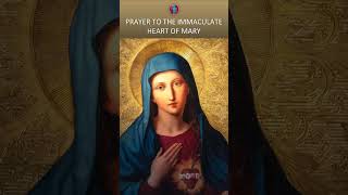 Prayer to the Immaculate Heart of Mary #shorts