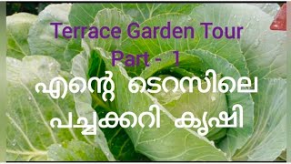 എന്റെ ടെറസിലെ പച്ചക്കറി കൃഷി / terrace Garden Tour - Part 1