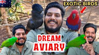 🇦🇺എല്ലാവരും സ്വപ്നം കാണുന്ന കിളിക്കൂട് | OUR DREAM BIRD AVIARY AND EXOTIC BIRDS #aviary #birds