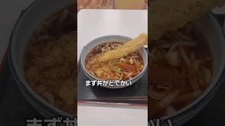 丼からはみ出す天ぷらが想像を遥かに越えてきたうどん！！【みのや】『愛知県瀬戸市』