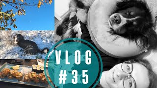 zwischen Herbstfarben und Winteranfang | VLOG 35