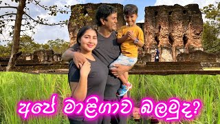 අපේ මාළිගාව බලන්න එන්න 😍 | සුන්දර ගැමි අසිරිය | kingdom | polonnaruwa #ridmapilapitiya