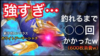 【釣りスピリッツ】強すぎない？1体釣るのに○○回（合計600枚）もかかったw