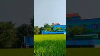 গ্রামের বাড়ি দৃশ্য কত সুন্দর #