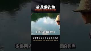 活泥鰍釣魚坐大牢！四川老表用活泥鰍釣魚83斤，判刑1年罰款2萬 #奇闻