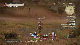 FF14初配信