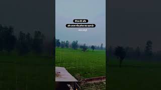 Apna gaon |village vlog |#meragaon #bollywood #love #mylove