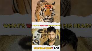 🤔King 👑 of Kanha tiger 🐅reserve forest 😯 | 04/10