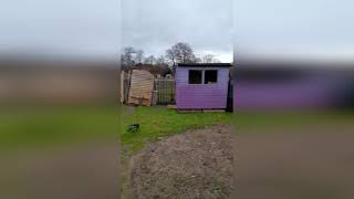 Women Like Me - Tour of the allotments