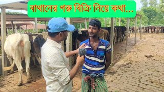 80- বাথানি আমিরুলের গরু বিক্রি  নিয়ে কথা।জার্সি,ফ্রিজিয়ান,শাহীওয়াল সহ সকল গরু।প্রান্তিক গরুর খামার।