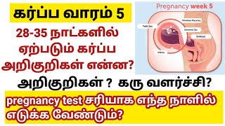 5th week pregnancy symptoms in tamil |ஐந்து வார கர்ப்பம் | pregnancy symptoms |5th week of pregnancy