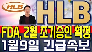 [ HLB 에이치엘비 ] \