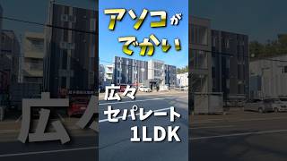 【ファスト内見】〇〇がでっかい！セパレート型の1LDK！#札幌 #賃貸 #不動産 #北海道 #物件 #エフズライフ #ホームメイト #shorts