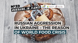 Ukraine in Flames #39 Russian aggression in Ukraine - the reason of world food crisis