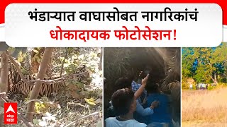 Bhandara Tiger | Dangerous photo session of citizens with tiger in Bhandara ABP Majha